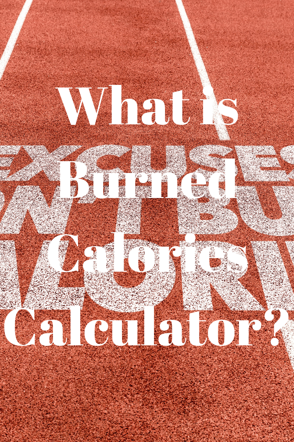 What Is Burned Calories Calculator? - Easy Rapid Calcs